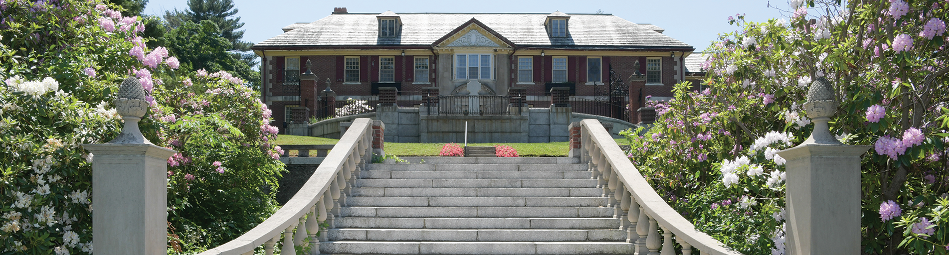 campus, a view of the front steps in the spring